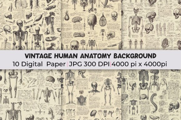 Unveiling the Allure of Vintage Human Anatomy Backgrounds